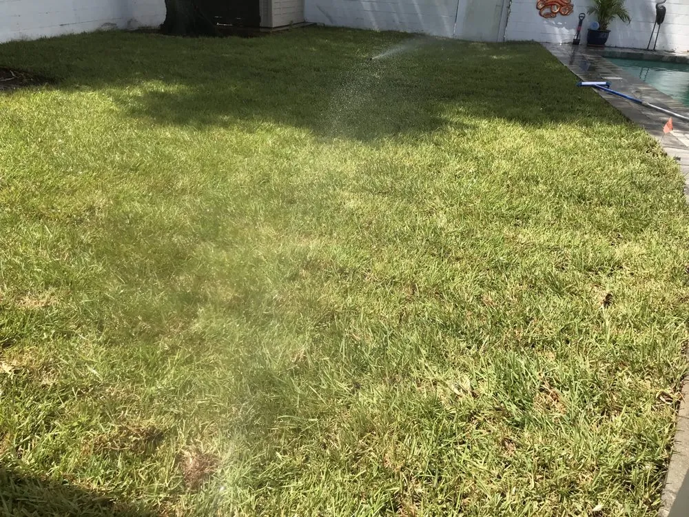 Local yard maintenance in Pinellas Park, FL by CPL Tree Service & Landscaping