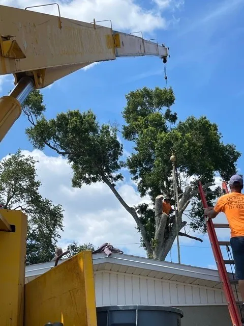 Reliable outdoor landscaping in Pinellas Park, FL by CPL Tree Service & Landscaping