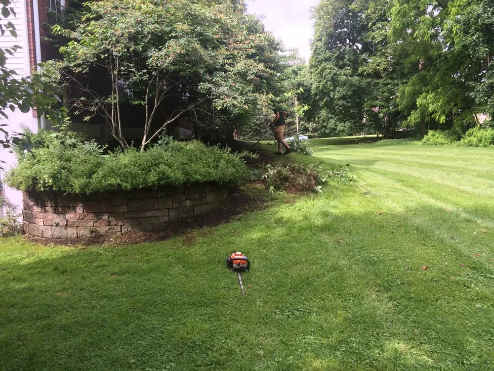 Top-rated lawn care service for beautiful yards in Webster, NY by CPM Property Services