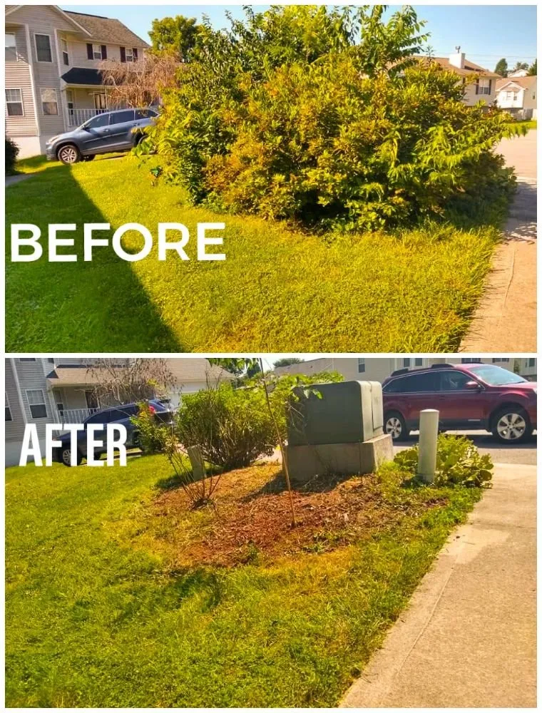 Reliable lawn mowing service in Knoxville, TN by CP's Mowing