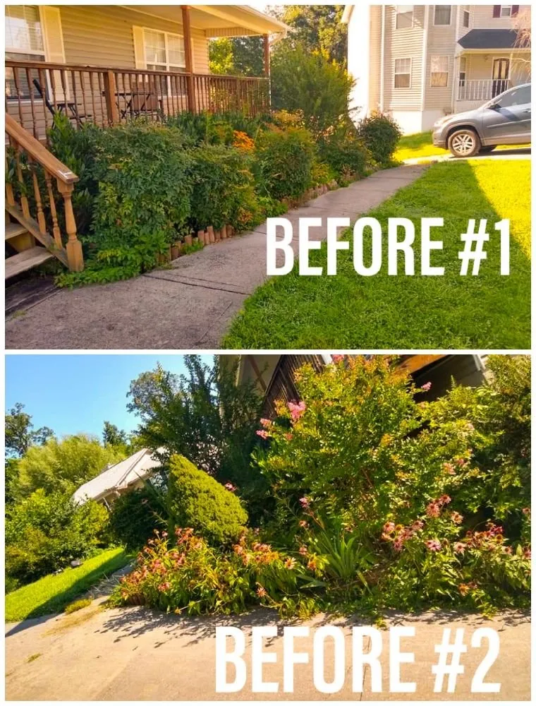 Professional yard cleanup service for year-round maintenance across Knoxville, TN - CP's Mowing