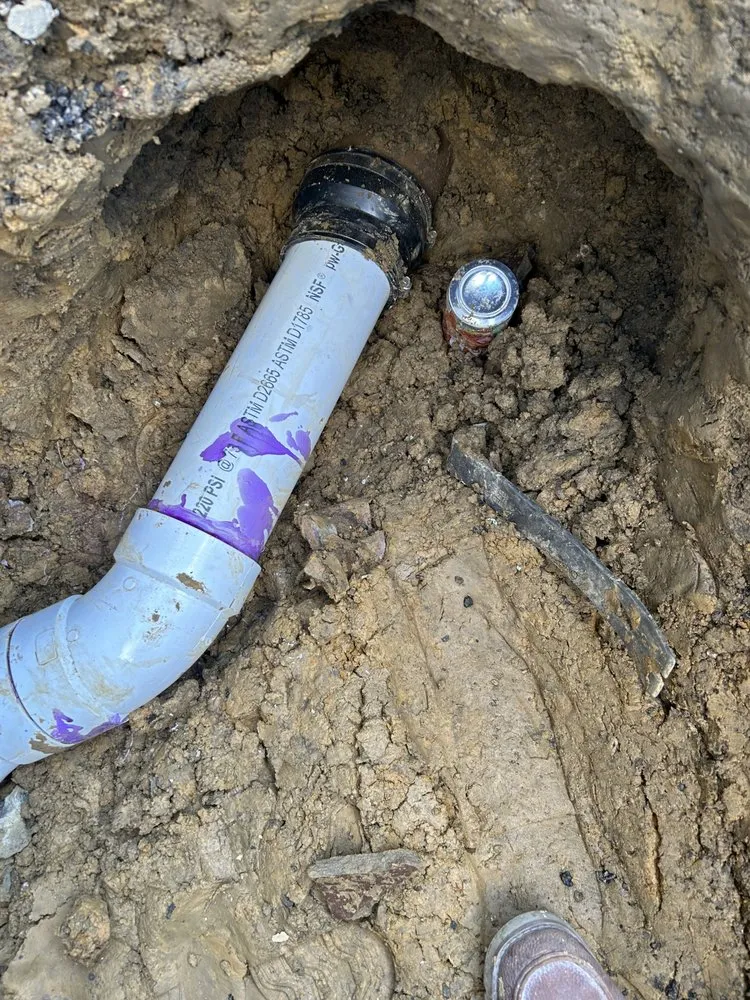 Local garden landscaping for residential properties across Mays Landing, NJ - Cps removal and renovation services