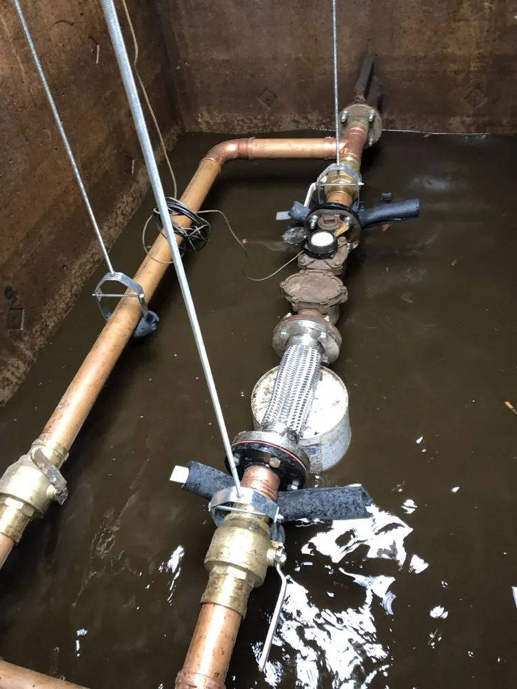 Affordable garden landscaping for beautiful yards in Mays Landing, NJ by Cps removal and renovation services