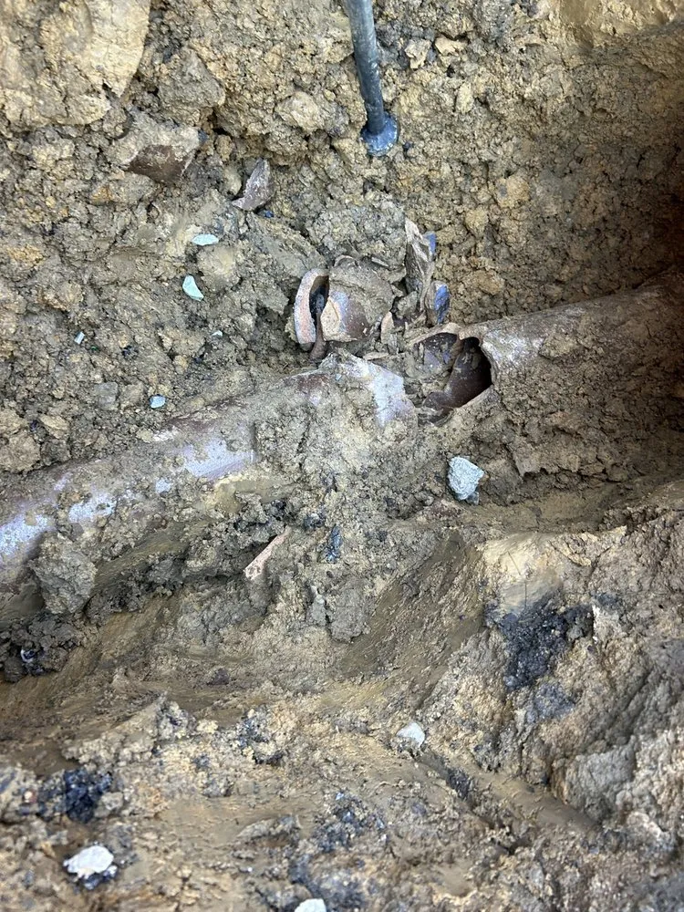 Professional garden landscaping experts serving Mays Landing, NJ - Cps removal and renovation services