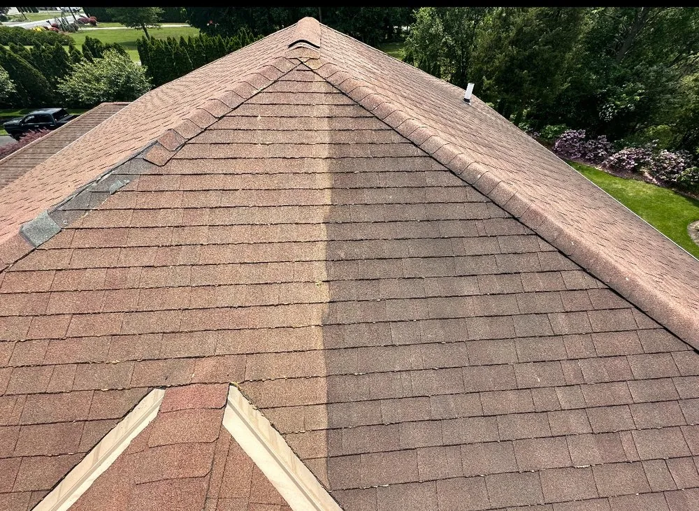 Professional lawn mowing service for beautiful yards across Mays Landing, NJ - Cps removal and renovation services