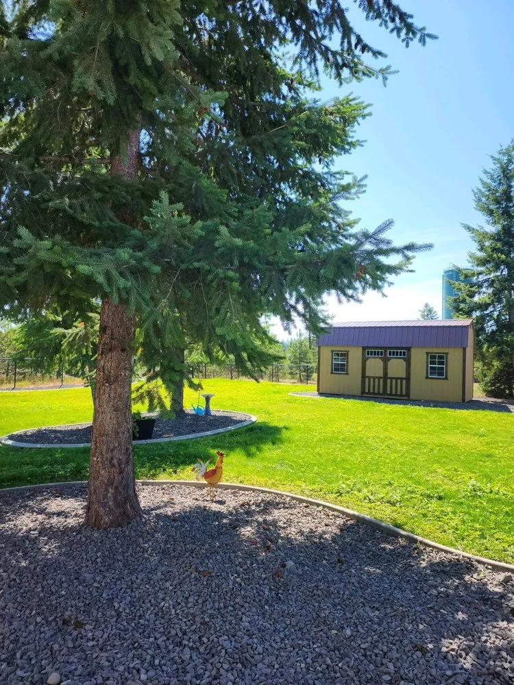 Expert yard maintenance in Hayden, ID - CQC Landscaping