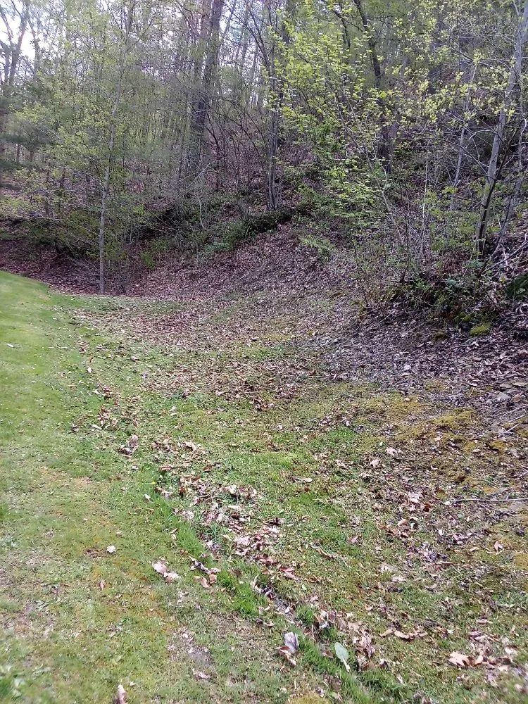 Expert yard maintenance experts serving west Portsmouth, OH - C+R beyond landscaping