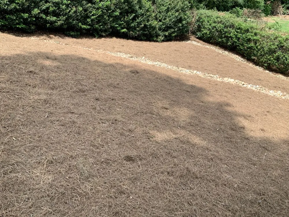 Custom yard maintenance for outdoor upgrades in Lawrenceville, GA by CR Gardens Services