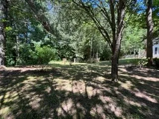 Professional yard cleanup service for year-round maintenance across Lawrenceville, GA - CR Gardens Services