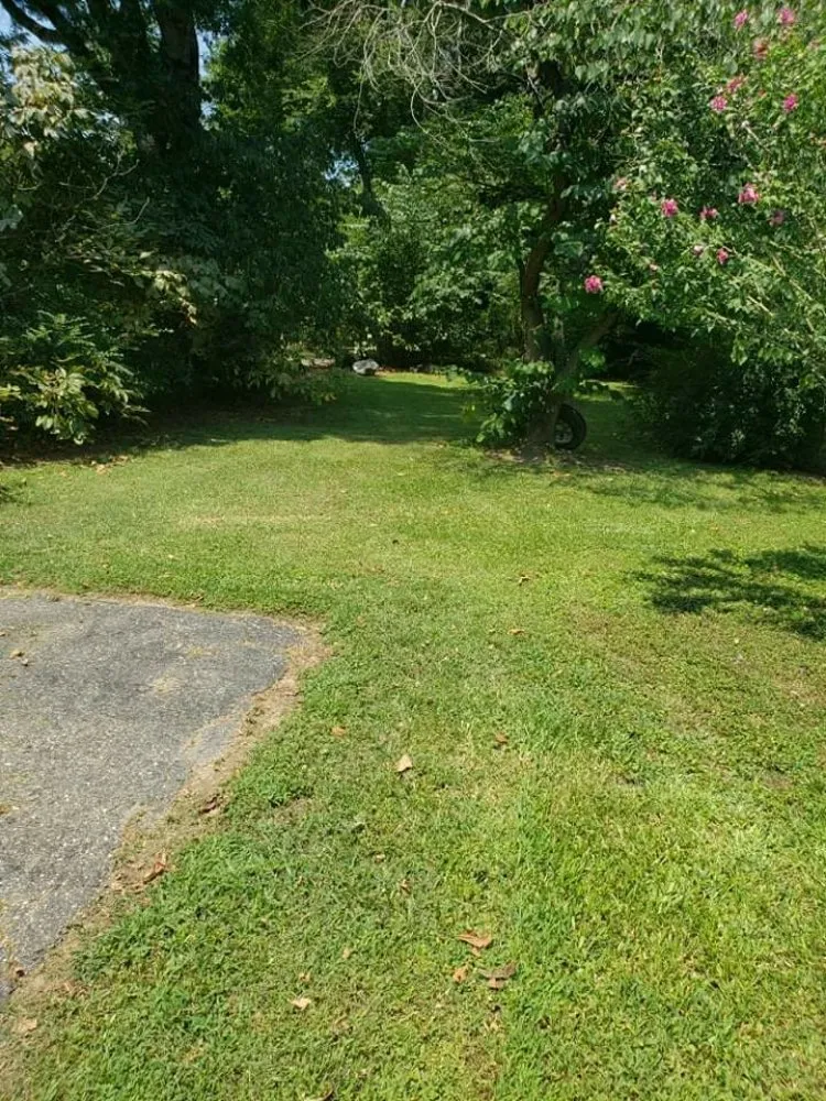 Affordable landscape installation experts serving Paron, AR - C&R House Cleaning And Lawn Care