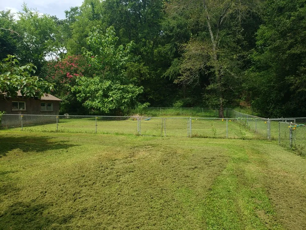 Reliable yard maintenance experts serving Paron, AR - C&R House Cleaning And Lawn Care