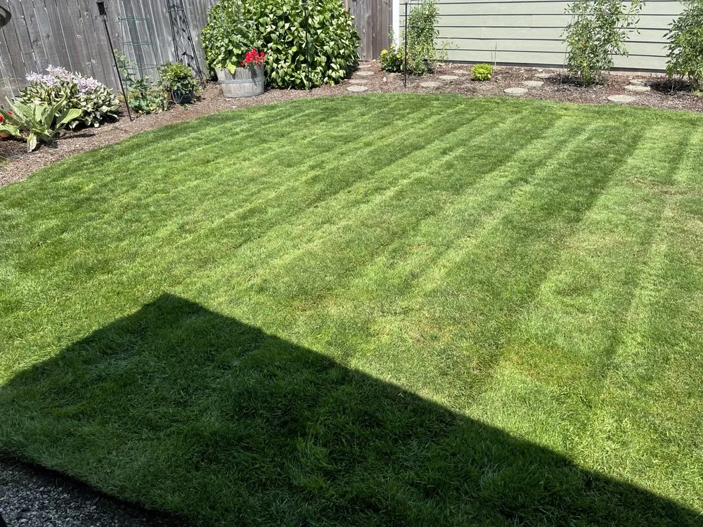 Expert residential landscaping in Fresno, CA - CR Landscape