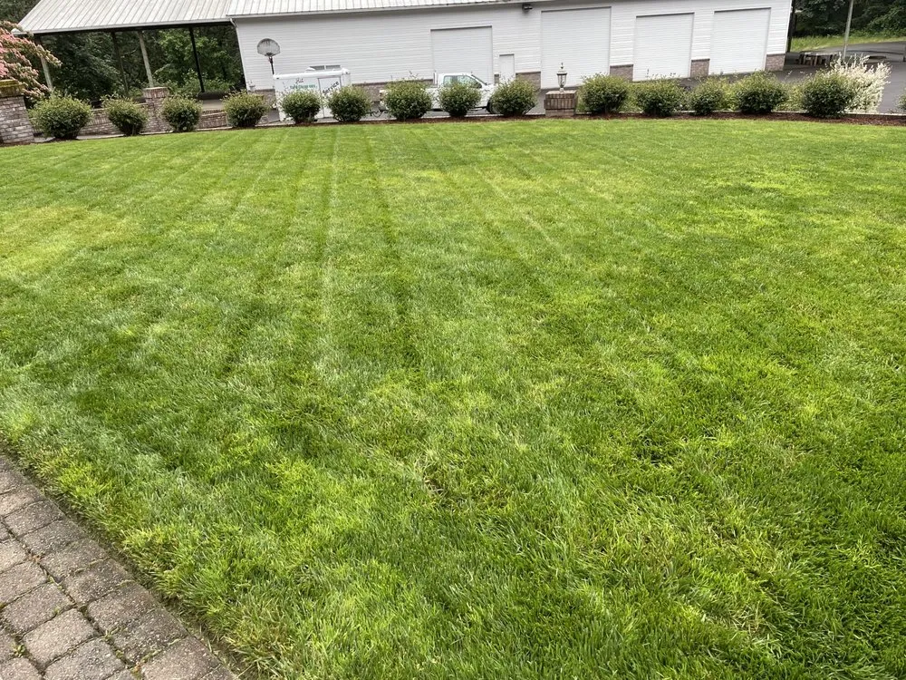 Reliable yard cleanup service experts serving Fresno, CA - CR Landscape