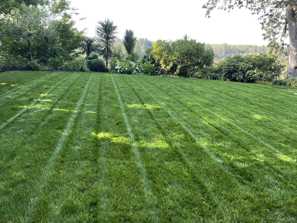 Reliable landscape design in Fresno, CA - CR Landscape