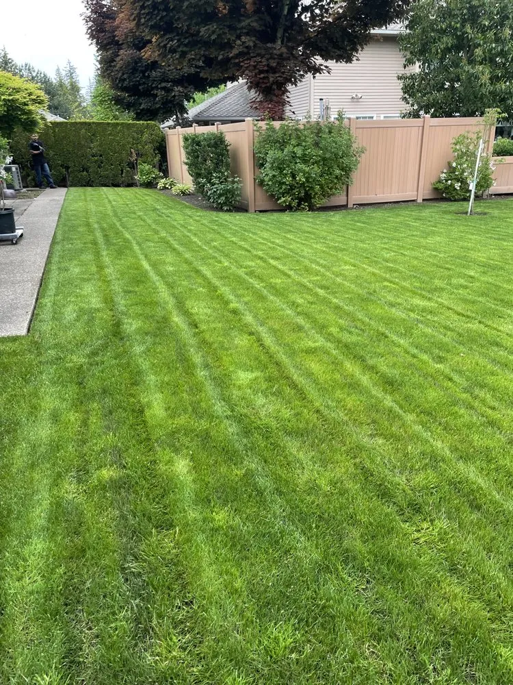 Professional residential landscaping with custom design in Fresno, CA by CR Landscape