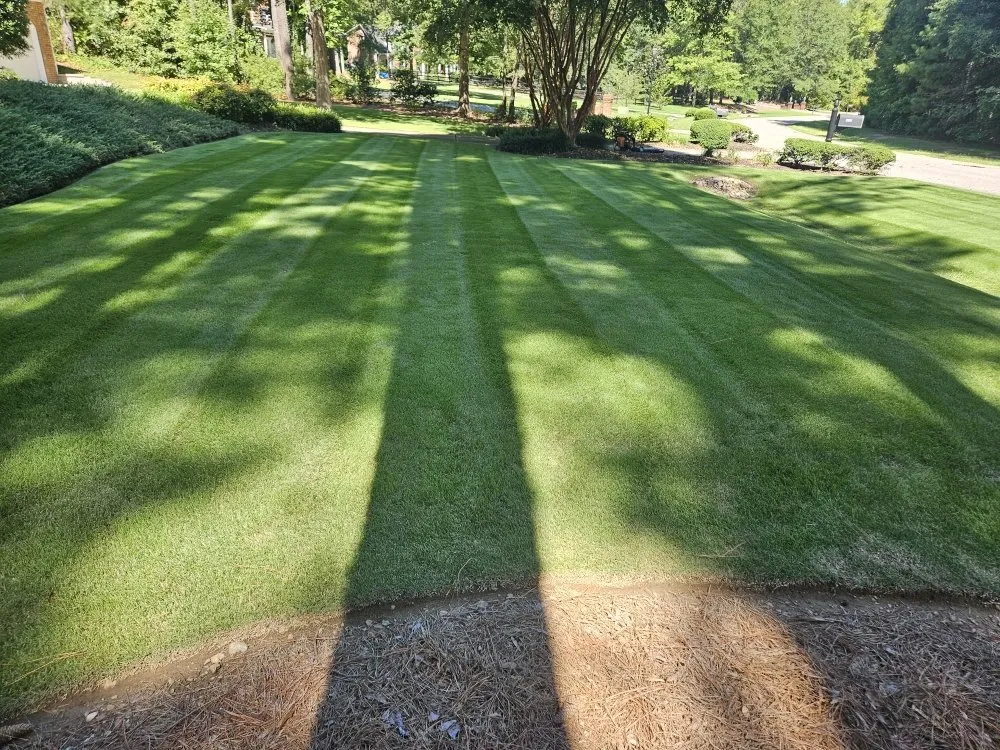 Professional lawn care service near you across Raleigh, NC - CR Landscape