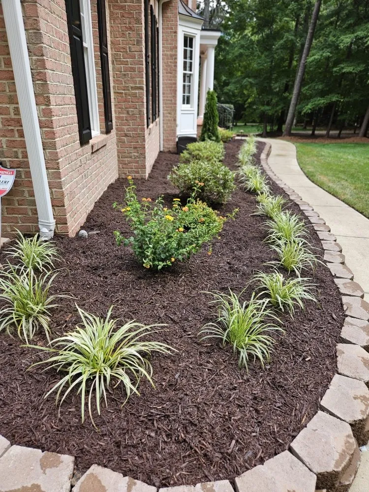 Top-rated yard maintenance for year-round maintenance across Raleigh, NC - CR Landscape