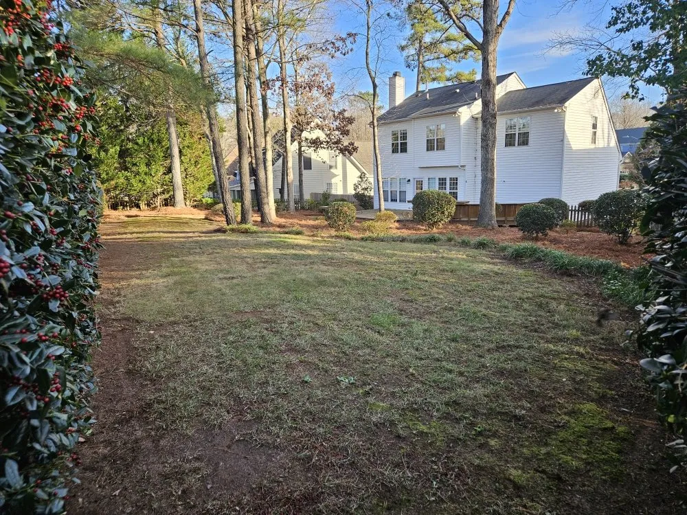 Expert garden landscaping in Raleigh, NC - CR Landscape