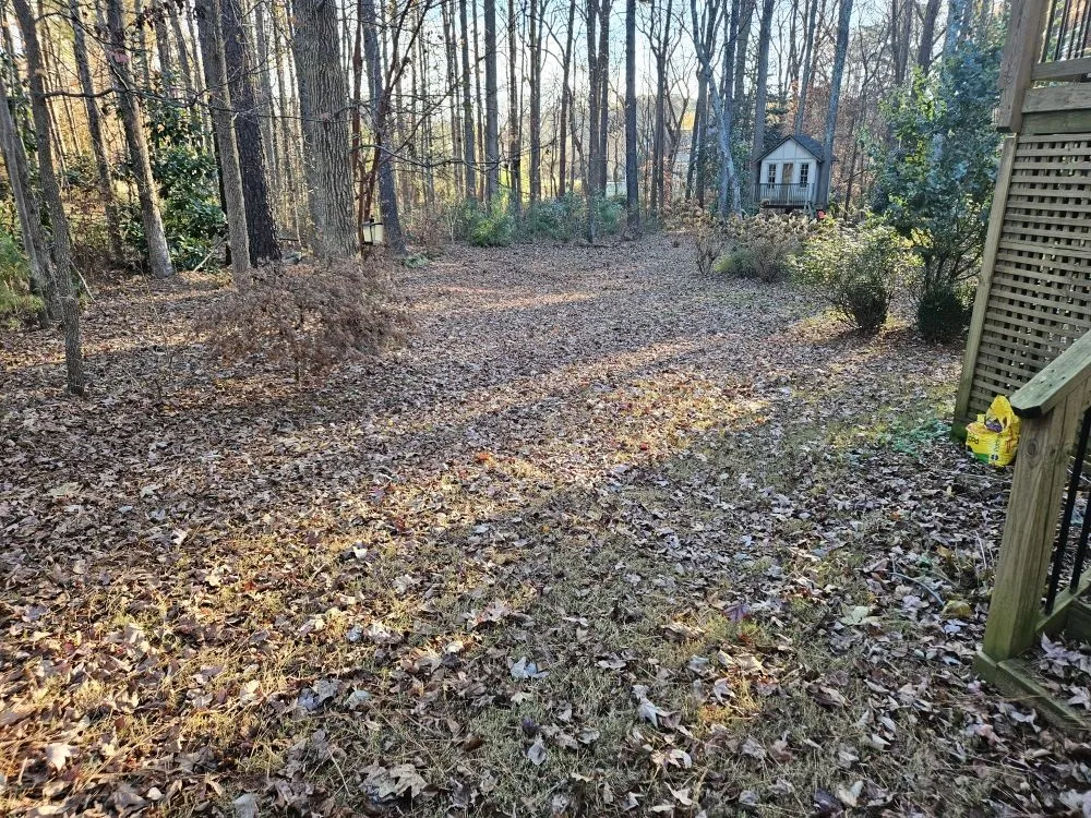 Top-rated outdoor landscaping in Raleigh, NC - CR Landscape