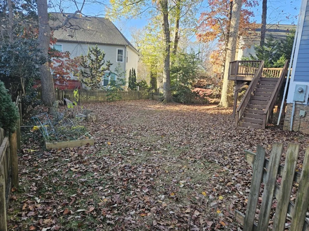 Affordable lawn care service in Raleigh, NC by CR Landscape