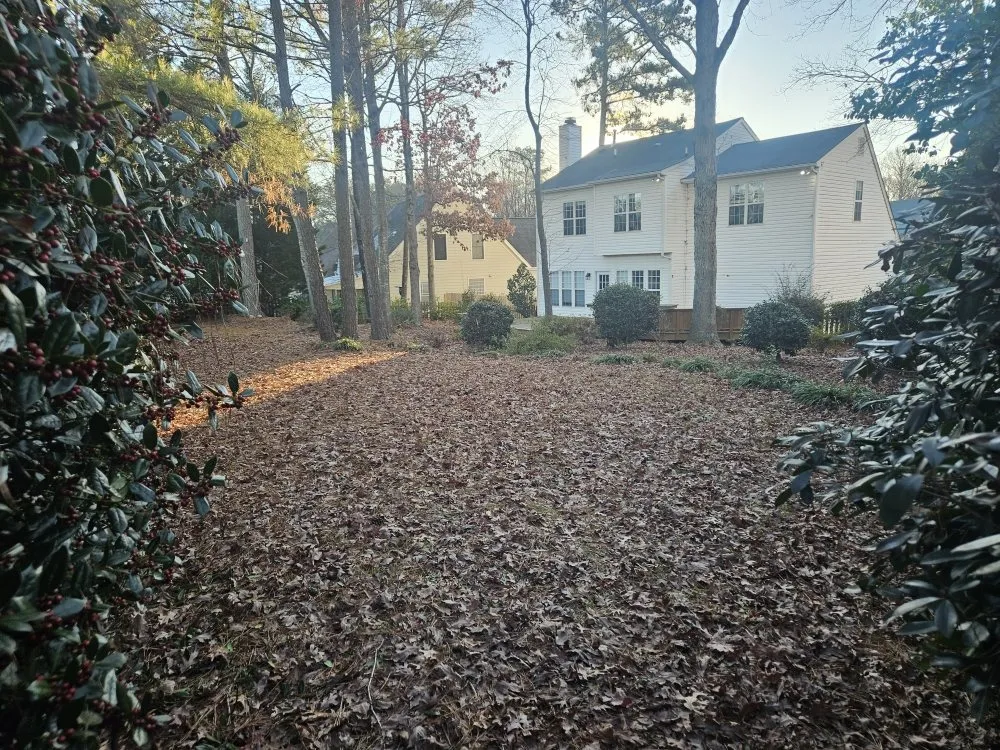 Reliable landscaping services for residential properties across Raleigh, NC - CR Landscape