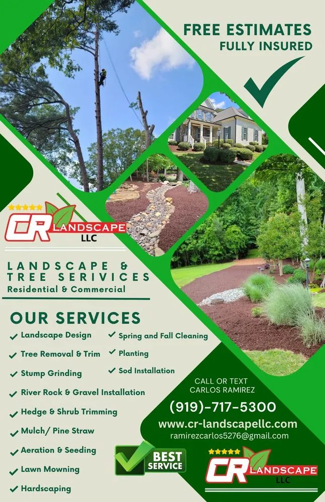 Reliable yard cleanup service in Raleigh, NC by CR Landscape