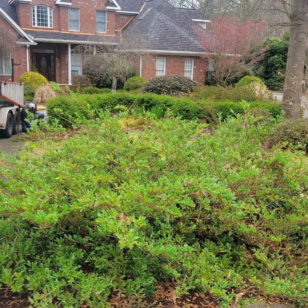 Affordable landscaping services for beautiful yards across Raleigh, NC - CR Landscape