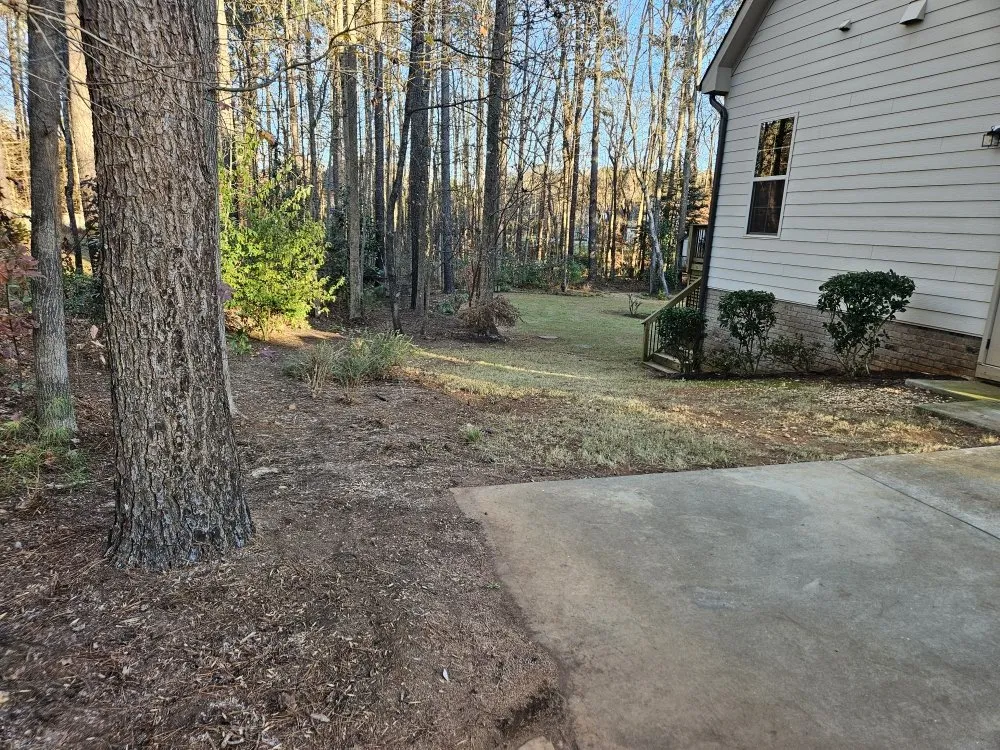 Professional garden landscaping in Raleigh, NC by CR Landscape