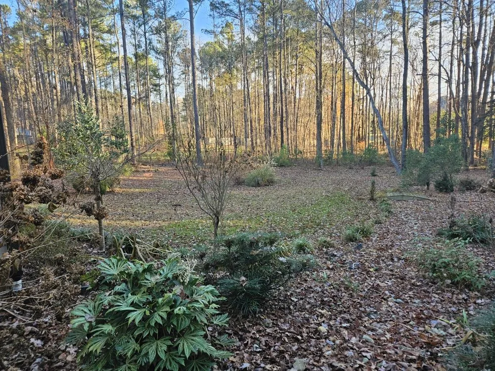 Affordable landscape installation in Raleigh, NC by CR Landscape