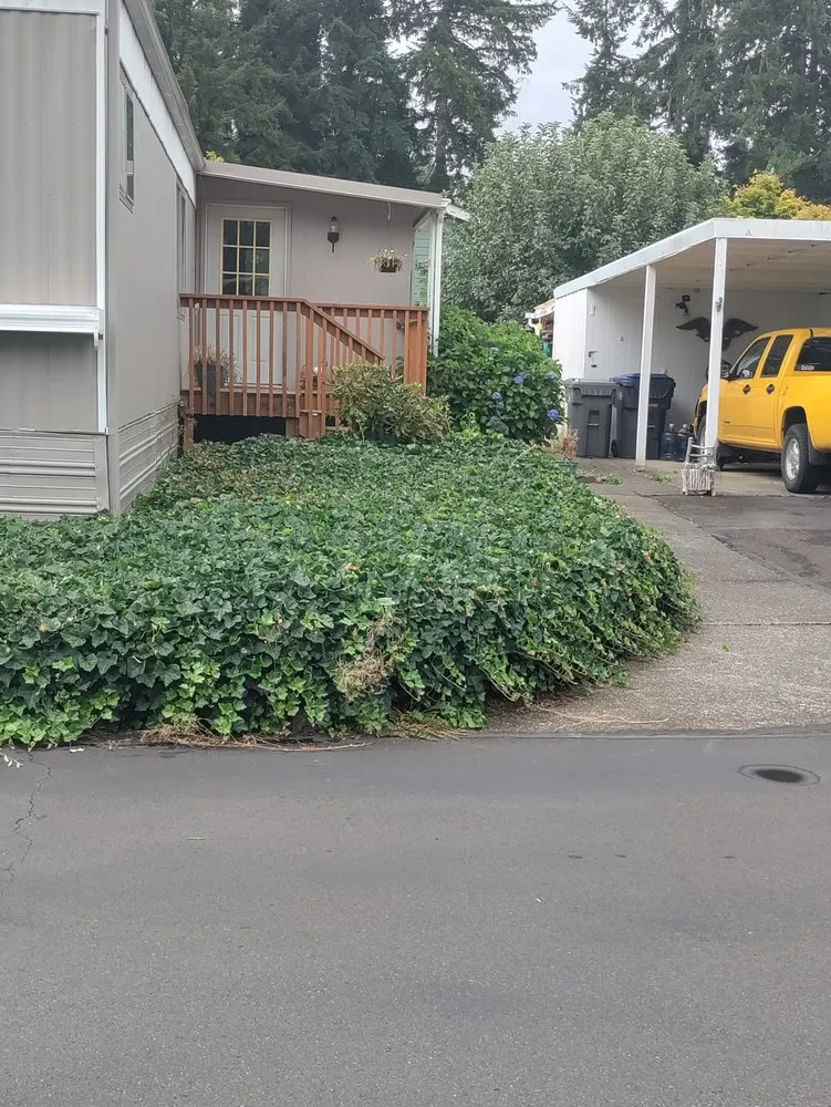 Local landscape design in Elma, WA - C&R Landscape Services