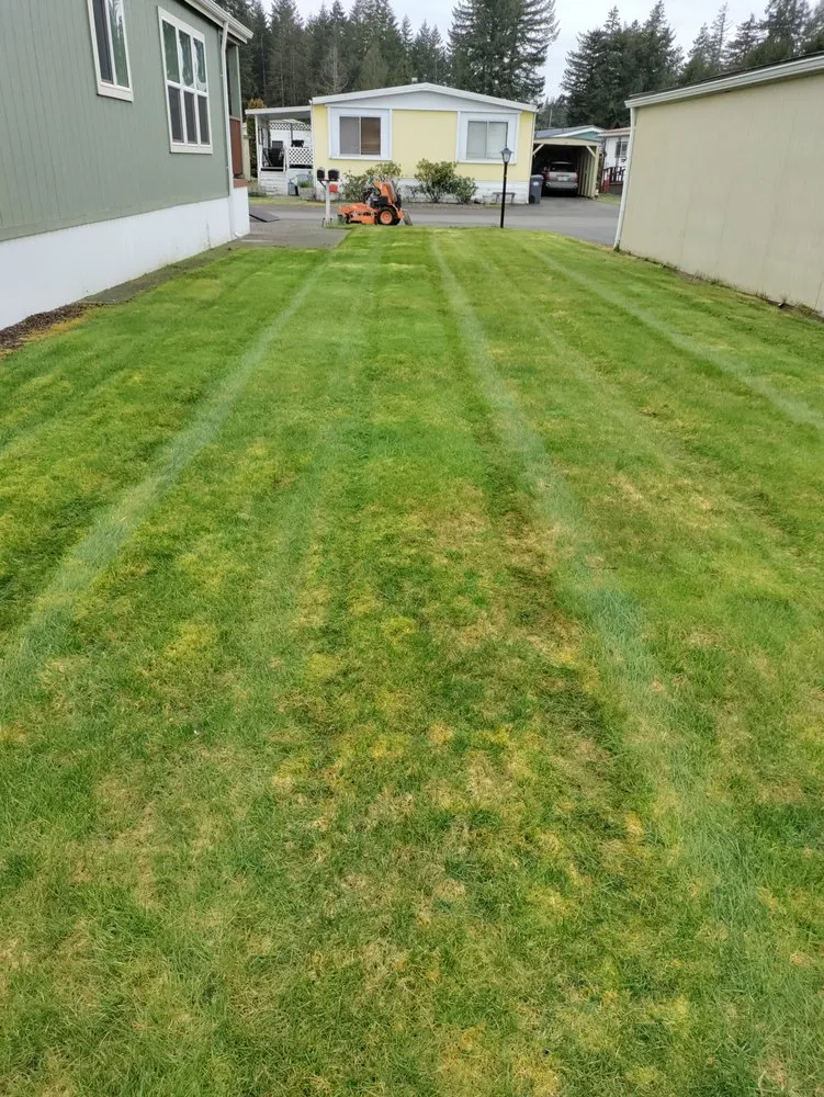 Trusted residential landscaping experts serving Elma, WA - C&R Landscape Services