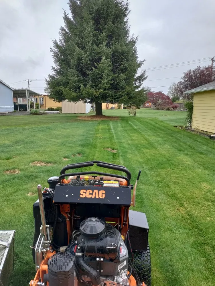 Expert yard cleanup service with custom design across Elma, WA - C&R Landscape Services