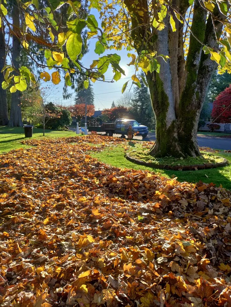 Reliable outdoor landscaping in Elma, WA - C&R Landscape Services