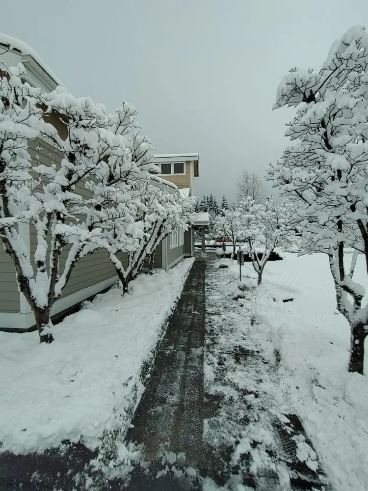 Expert residential landscaping in Elma, WA by C&R Landscape Services