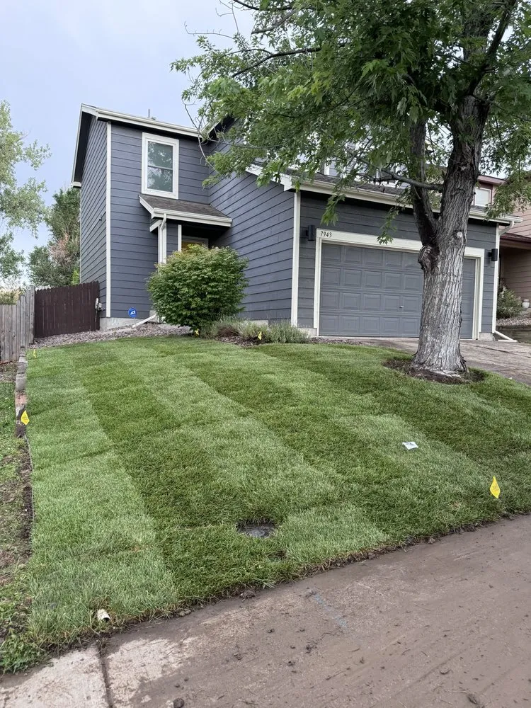 Local landscape installation near you across Aurora, CO - CR Landscaping