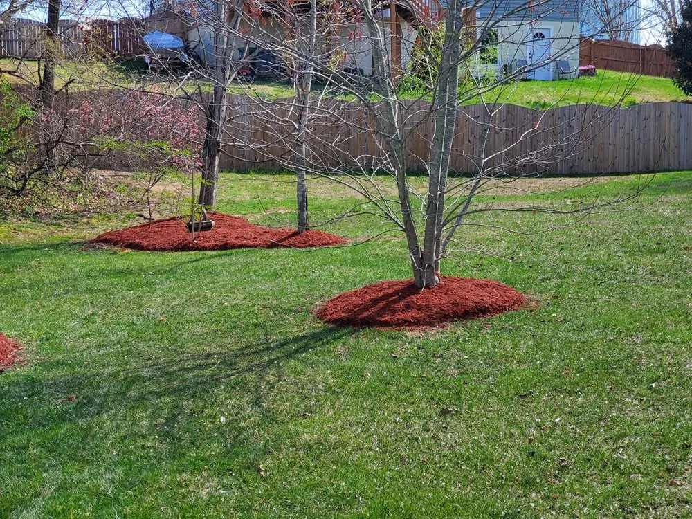 Top-rated landscape design experts serving Fredericksburg, VA - C&R Landscaping