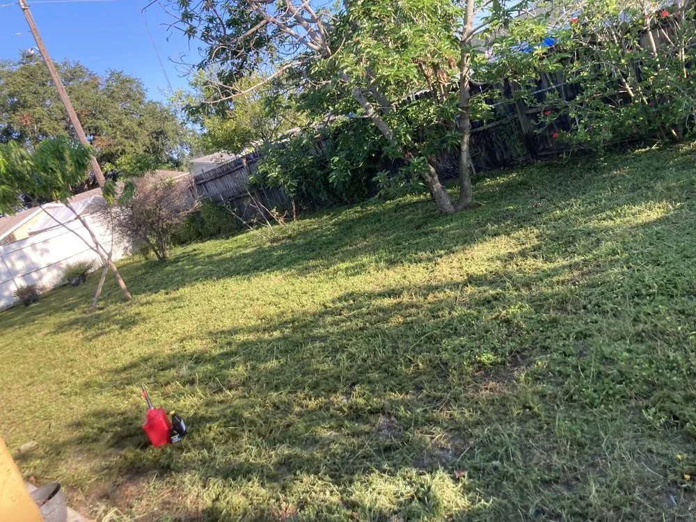 Affordable landscaping services in Holiday, FL by CR landscaping