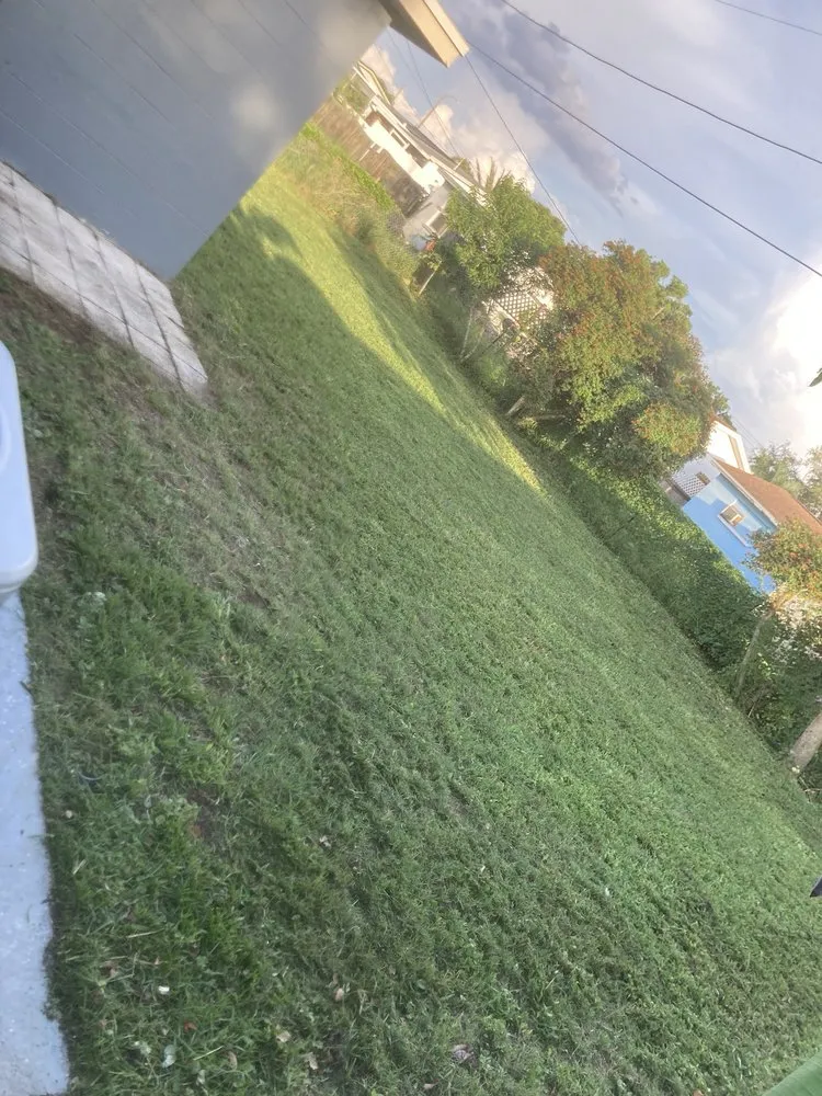 Trusted landscape design with custom design across Holiday, FL - CR landscaping