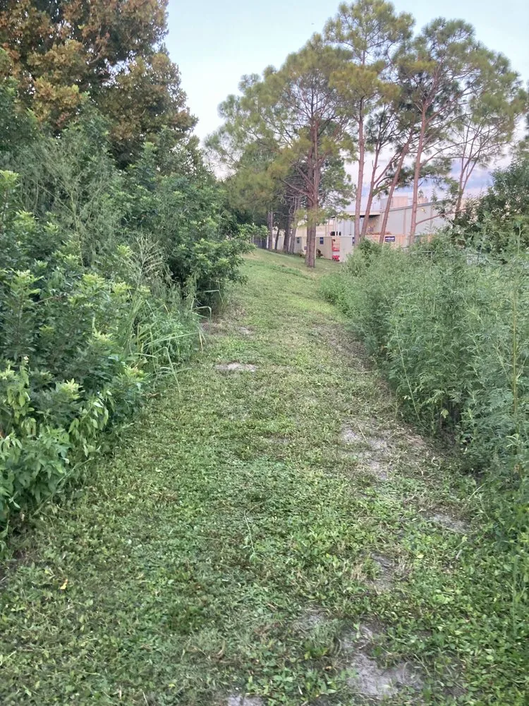 Expert residential landscaping experts serving Holiday, FL - CR landscaping