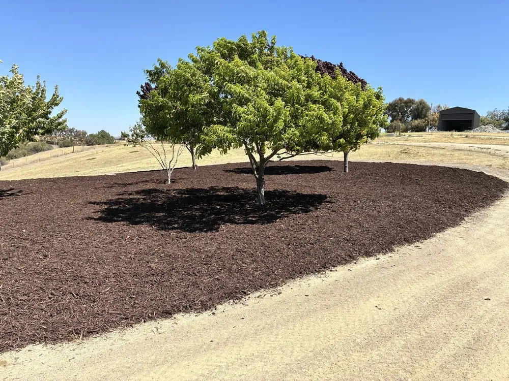 Reliable yard maintenance in Atascadero, CA - C&R Landscaping Services