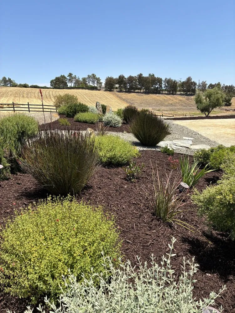 Affordable outdoor landscaping experts serving Atascadero, CA - C&R Landscaping Services