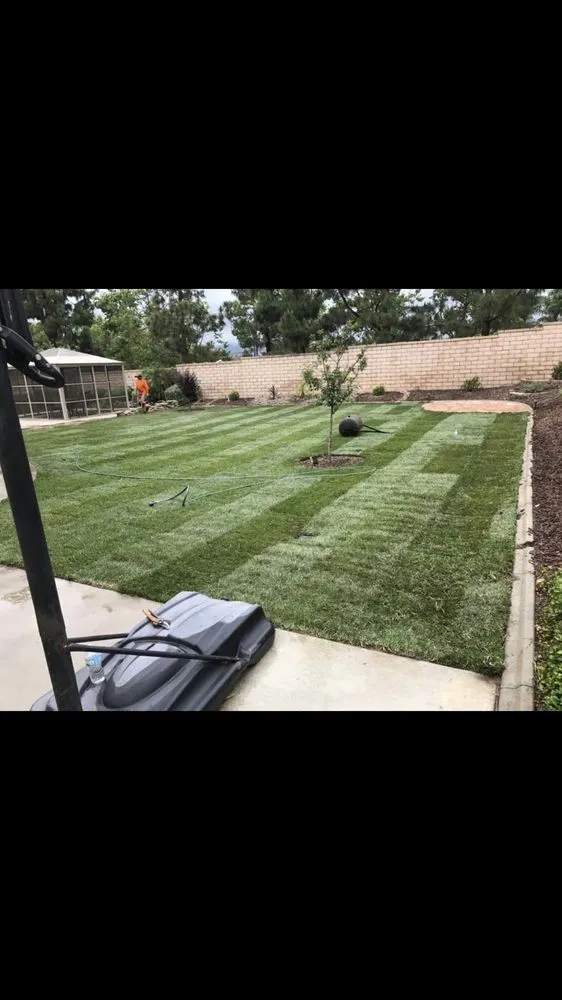 Affordable landscape installation near you in Victorville, CA by C&R Landscaping