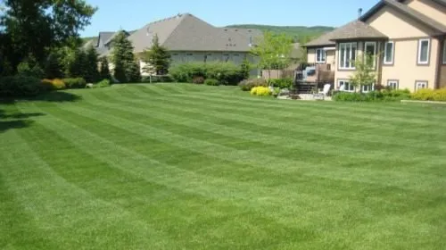 Custom landscape design in West Orange, NJ - CR Landscaping