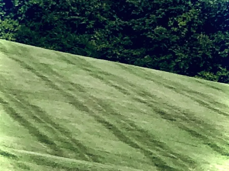 Trusted residential landscaping experts serving Ashland City, TN - C&r Lawn and Removal Services