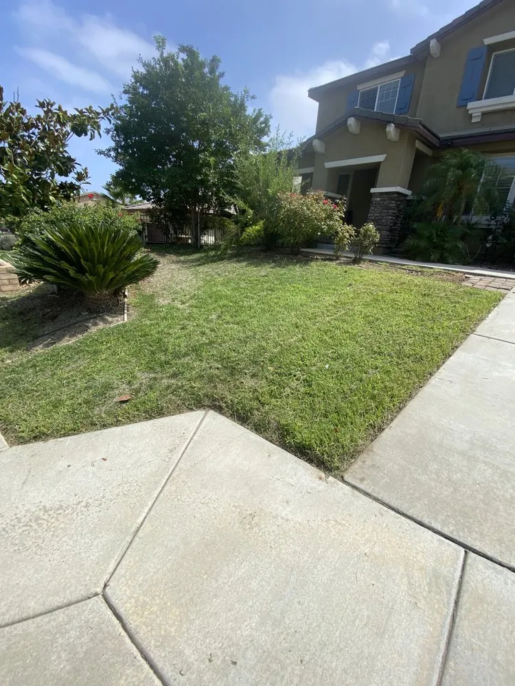 Expert yard maintenance experts serving Lake Elsinore, CA - C&R Lawn Care