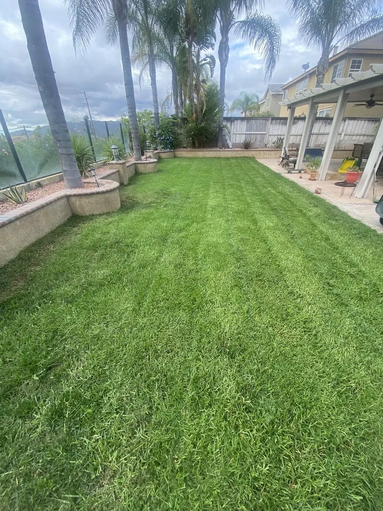 Trusted yard cleanup service experts serving Lake Elsinore, CA - C&R Lawn Care