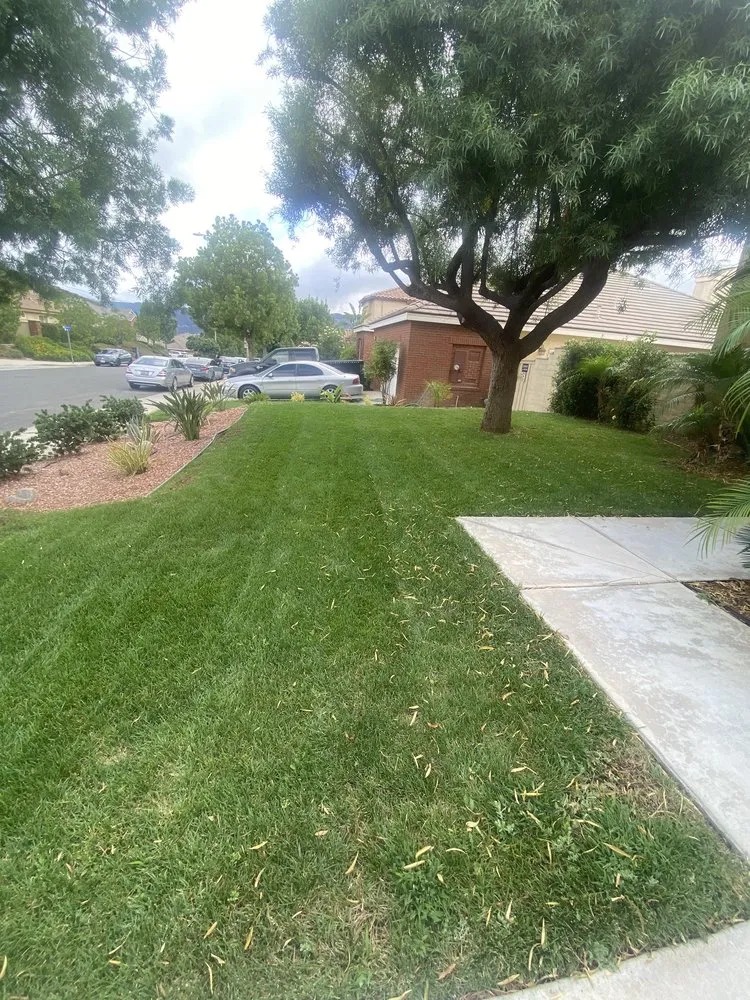 Custom landscape installation in Lake Elsinore, CA - C&R Lawn Care