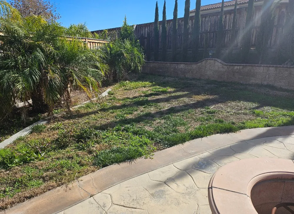 Trusted yard maintenance near you in Lake Elsinore, CA by C&R Lawn Care