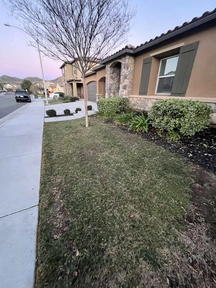 Professional landscape installation in Lake Elsinore, CA - C&R Lawn Care