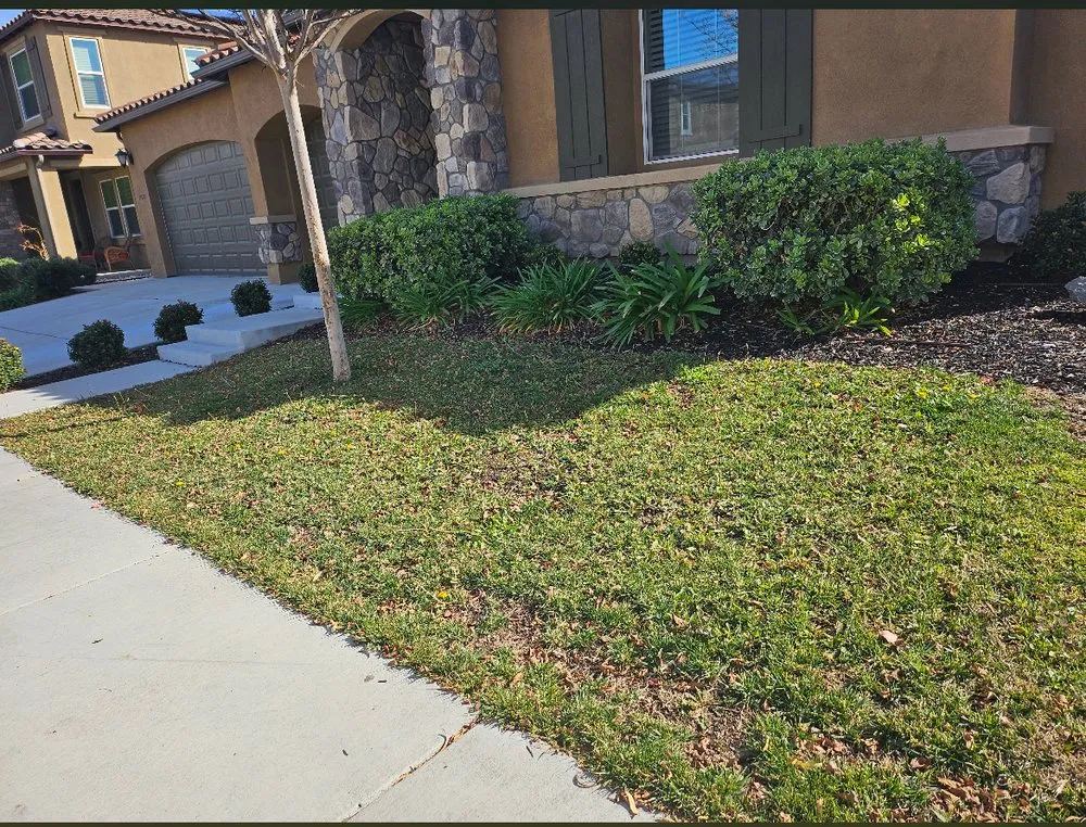Affordable lawn mowing service with custom design in Lake Elsinore, CA by C&R Lawn Care